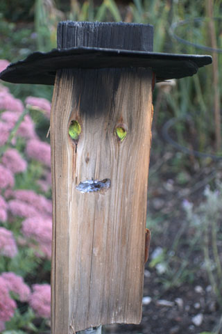 Bild 27 / Woody 2