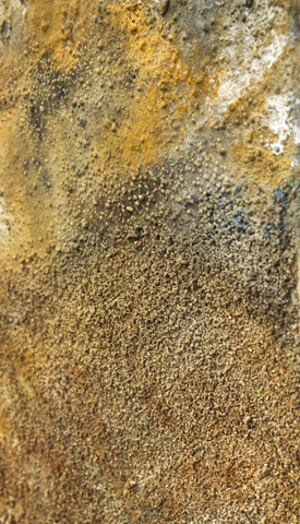 Vulkan 11, Detail