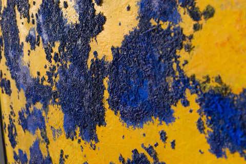 Schwedische Kaltkorallen, Detail