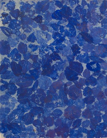 Blaue Blätter