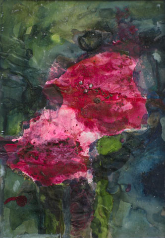 Mohn 2, Ansicht unter Tageslicht