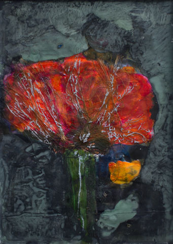 Mohn 3 (neu), Ansicht unter Tageslicht