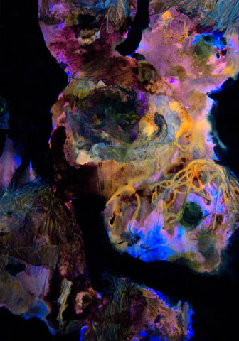 Mohn 4, Ansicht unter UV-Licht