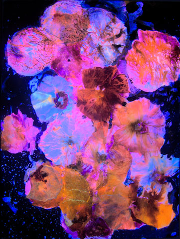 Bouquet 1, Ansicht unter UV-Licht