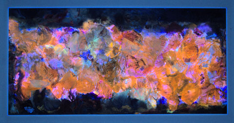 Flower Power 1, Ansicht unter UV-Licht