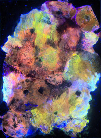 Bouquet 2, Ansicht unter UV-Licht