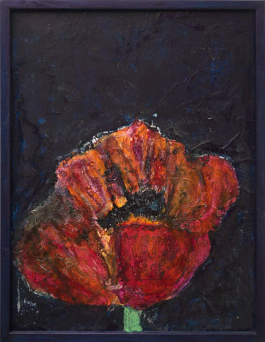 Mohn 5, Ansicht unter Tageslicht