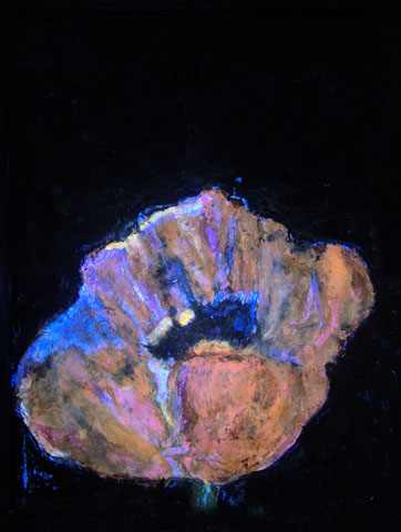 Mohn 5, Ansicht unter UV-Licht