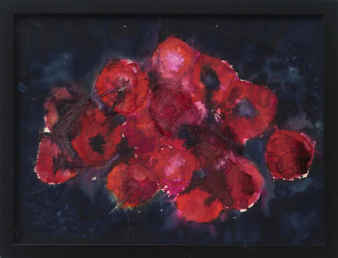 Mohn 7, Ansicht unter Tageslicht