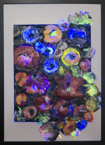 Blüten nach Raureif, Ansicht unter Mischlicht (Tageslicht + UV-Licht)