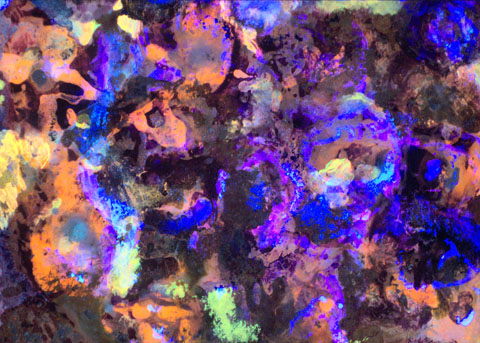 Flower Bouquet, Ansicht unter UV-Licht