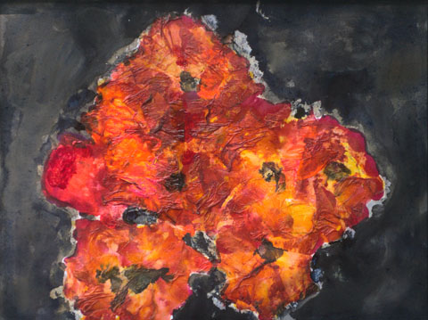 Mohn 8, Ansicht unter Tageslicht